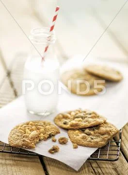 Chocolate Chip Cookies on a baking sheet Stock Photos
