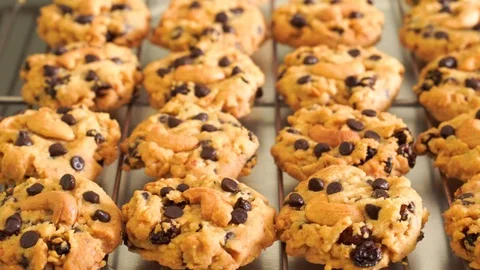 Chocolate chip cookies on baking tray. Sweet biscuits. Homemade pastry. Stock Footage 122190353