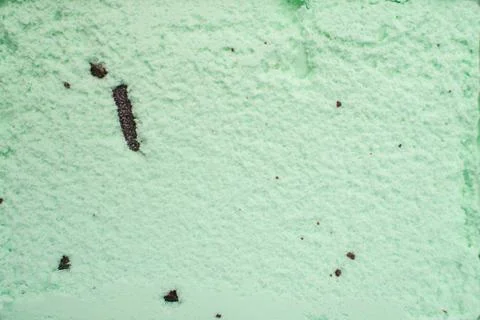 Chocolate chip mint Stock Photos