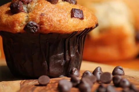 Chocolate Chip Muffin Stock Photos