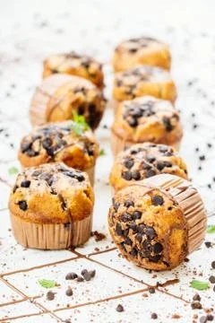 Chocolate chip muffin Stock Photos