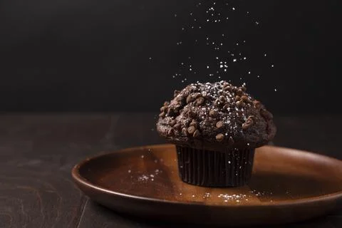 Chocolate chip muffin Stock Photos