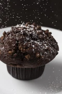 Chocolate chip muffin Foto stock