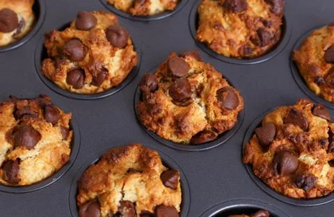 Chocolate chip muffins closeup in baking tray Stock Photos