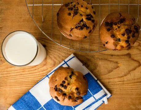 Chocolate chip muffins Stock Photos