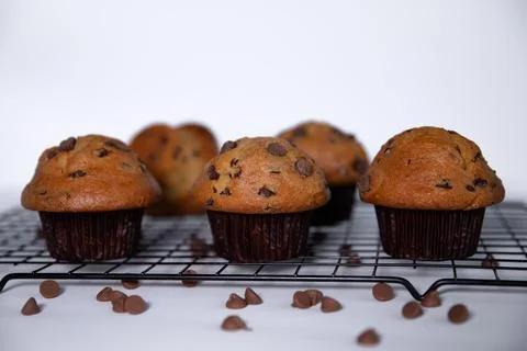 Chocolate chip muffins on a wire rack to cool. Stock Photos