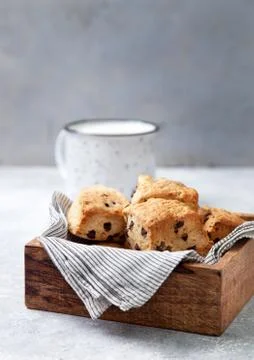 Chocolate Chip Scones Stock Photos