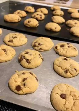 Chocolate Chippy Stock Photos