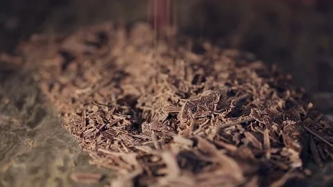 Chocolate chips are falling off Video stock 74551056