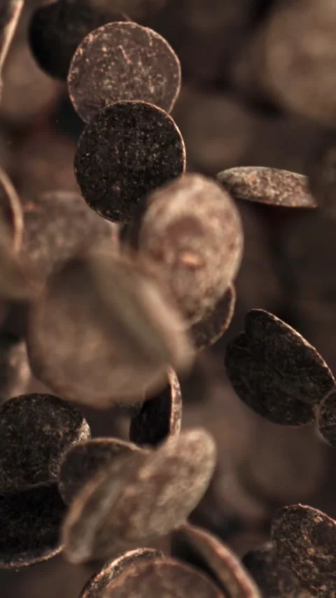 Chocolate chips fall down. Filmed on a high-speed camera at 1000 fps Stock Footage 335384451