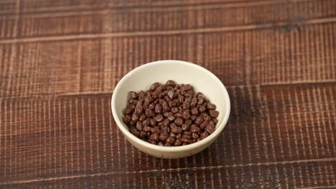 Chocolate chips on plate Stock Footage 183498279