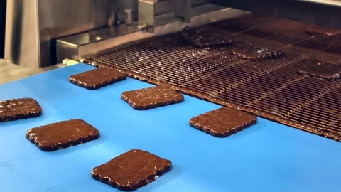 Chocolate-coated biscuits process on a production line in a factory setting Stock Footage 306295541