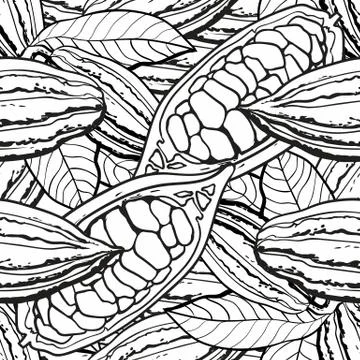 Chocolate cocoa bean seamless pattern - colorless black and white background 스톡 일러스트