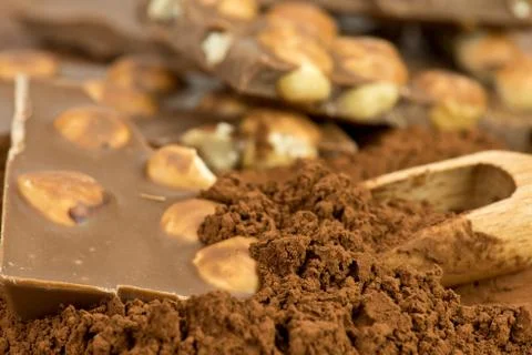 Chocolate with cocoa Stock Photos