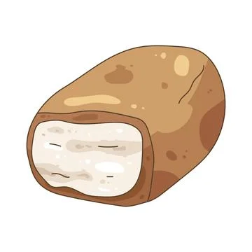 Chocolate coconut Stockillustratie