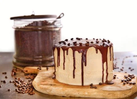 Chocolate coffee cake Stock Photos