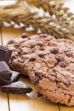 Chocolate cookie Stock Photos