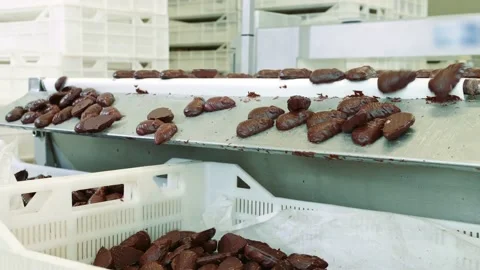 Chocolate Cookies Packaging Process. 4K footage Stock Footage 232702606