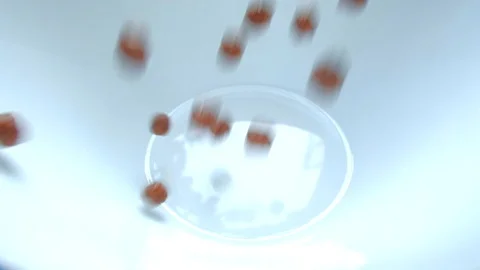 Chocolate Corn Balls Are Falling Into The Plate. Stock Footage 125189179