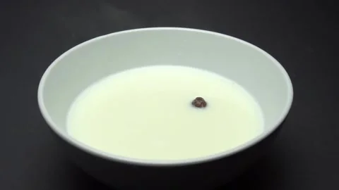 Chocolate Corn Balls Falls In Milk. Slow Motion. Camera zoom Stock Footage 86995515