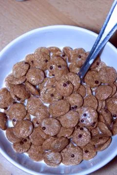Chocolate corn flakes Stock Photos
