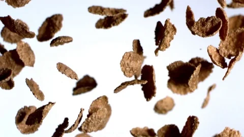 Chocolate cornflakes falling against white background in slow motion Stock Footage 81214813