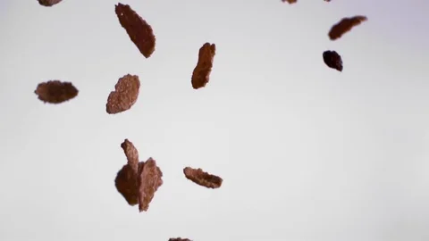 Chocolate cornflakes falling against white background in slow motion Stock Footage 81231250