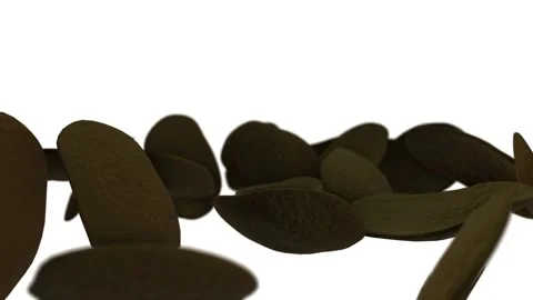 Chocolate cornflakes slow motion toss 3d rendered animation Stock Footage 133493112