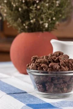 Chocolate cornflakes on the table Stock Photos