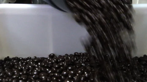 Chocolate covered nuts Stock Footage 32678473
