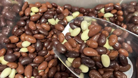 Chocolate covered nuts sweet nuts Stock Footage 312012052