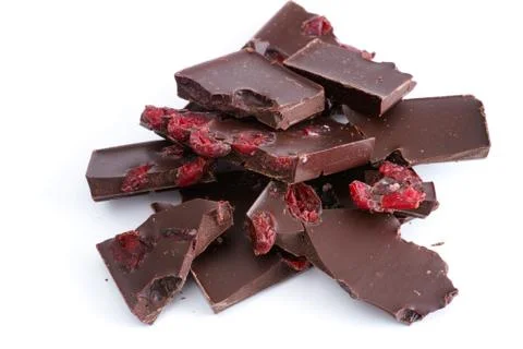 Chocolate with cranberries Stock Photos