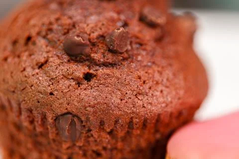 Chocolate cup cake Stock Photos
