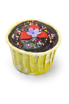 Chocolate cupcake Stock Photos