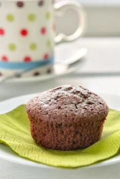 Chocolate Cupcake Stock Photos