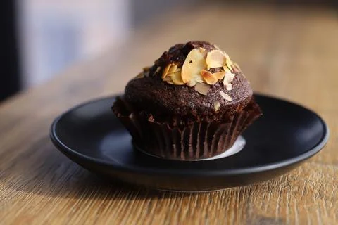 Chocolate cupcake Stock Photos