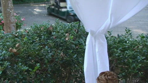 Chocolate Cupcake Tree Stock Footage 558436