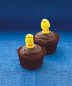 Chocolate cupcakes decorated with Easter chicks Stock Photos