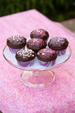 Chocolate cupcakes Stock Photos
