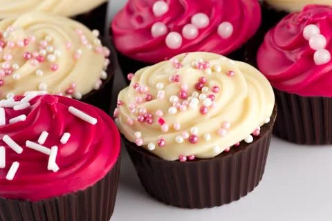 Chocolate cupcakes Stock Photos