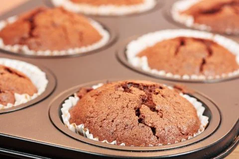 Chocolate cupcakes Stock Photos