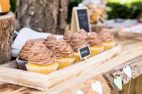 Chocolate cupkakes Stock Photos