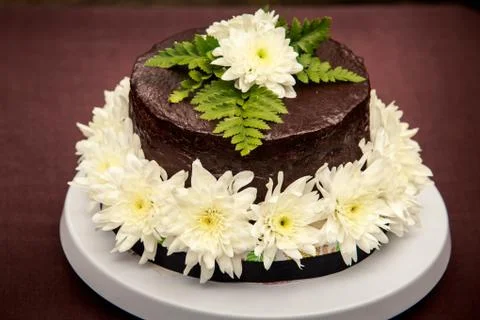 Chocolate delicious cake Stock-Fotos