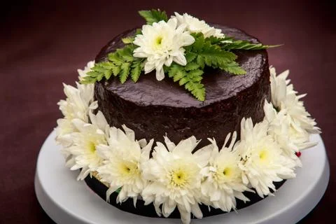 Chocolate delicious cake Stock Photos