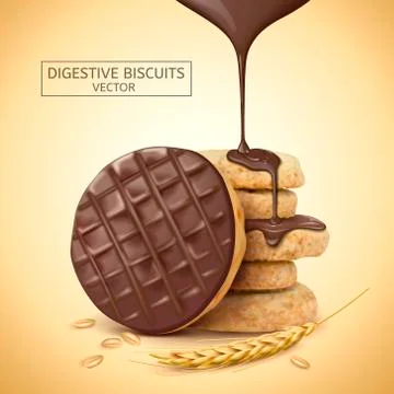 Chocolate digestive biscuit element Stock Illustration