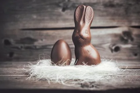 Chocolate Easter bunny and egg on wooden backround Stock Photos