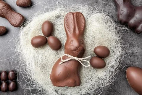 Chocolate Easter bunny and eggs in a nest on rustic background Stock Photos