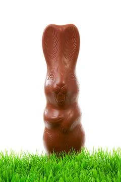 Chocolate easter bunny on grass Stock Photos
