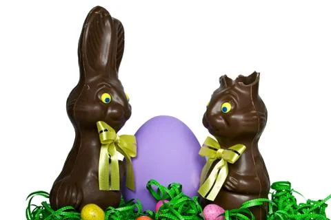 Chocolate Easter bunny humor Stock Photos