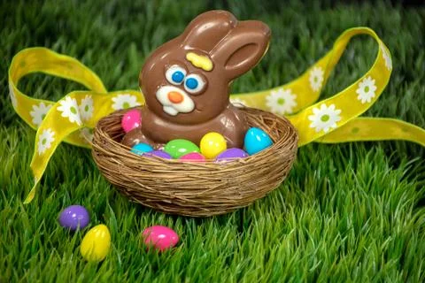 Chocolate Easter bunny in nest Stock Photos